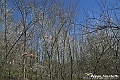 VBS_8854- Risvegli